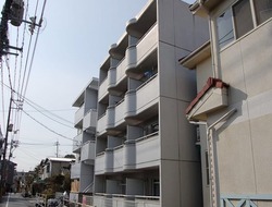 セリーヌ伊島画像10